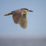 葫芦娃视频官网app 66tmpq4